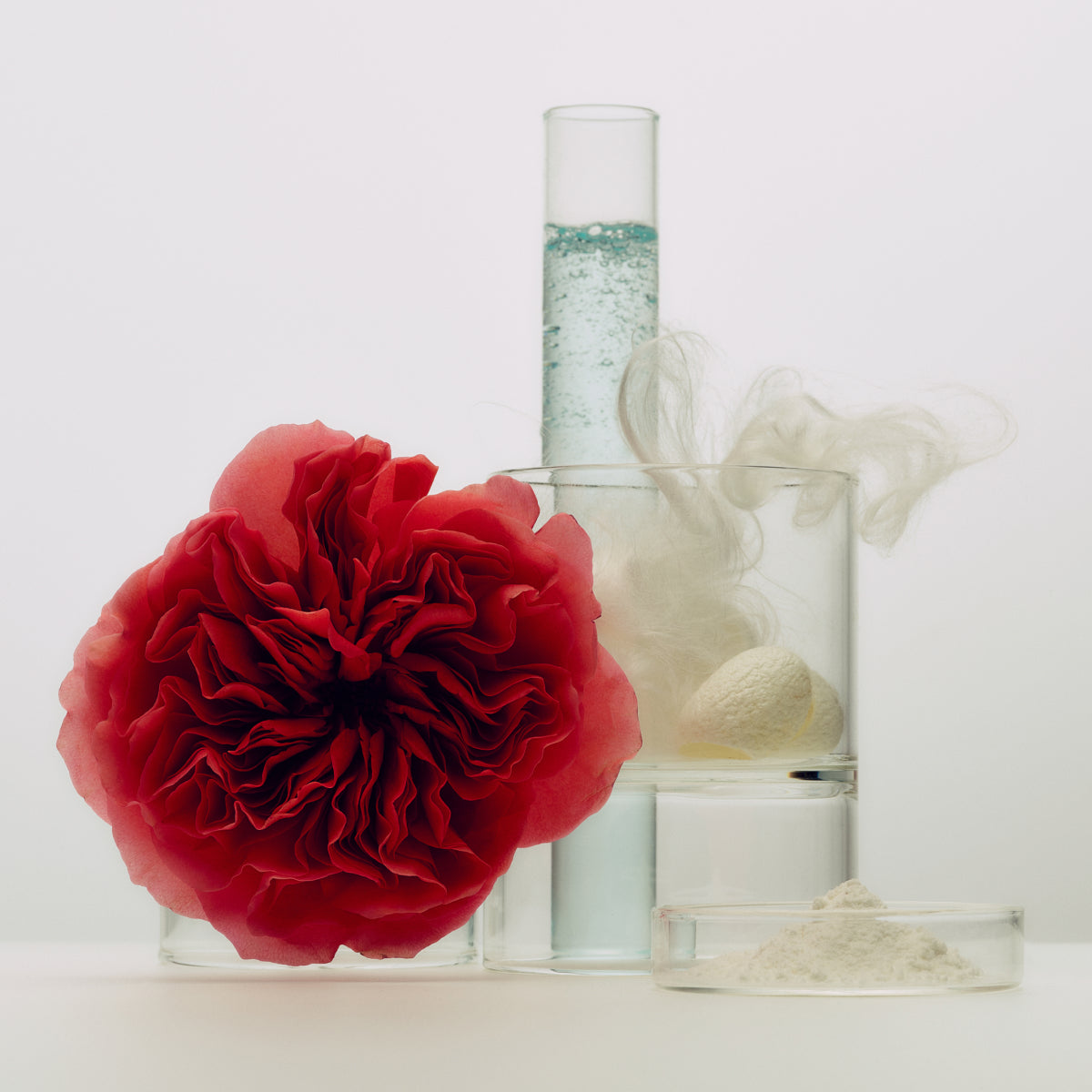 SilkCream-Aug26-Ppage-Ingredients.jpg